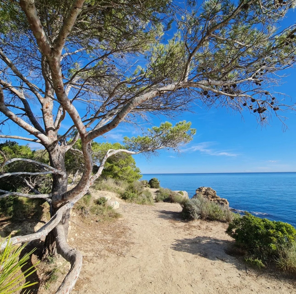 Guide to Javea Walks: Cap Prim SL - CV 98