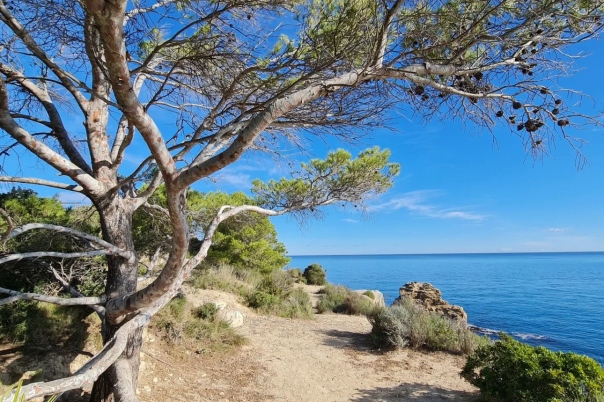Guide to Javea Walks: Cap Prim SL - CV 98