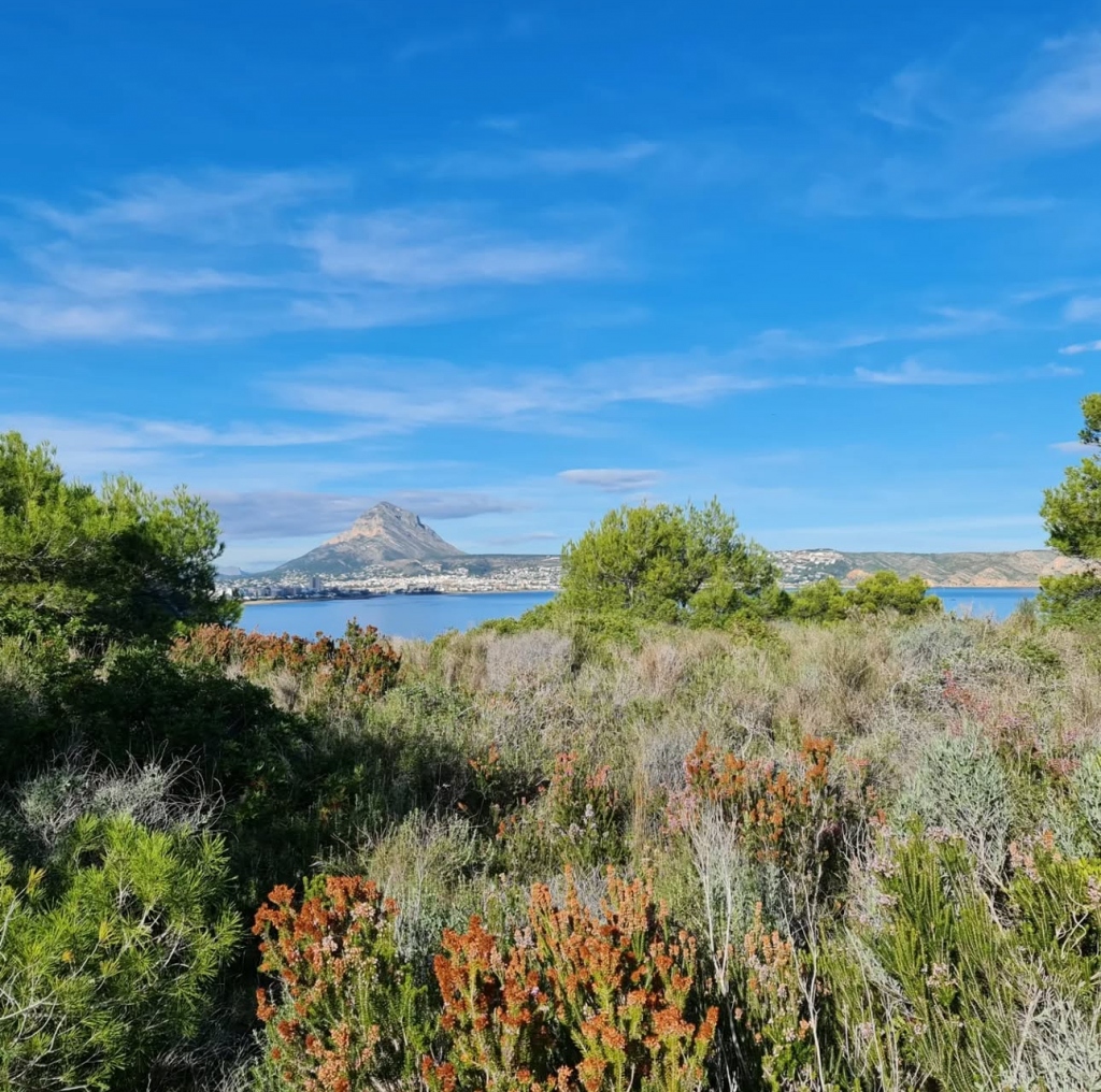 Guide to Javea Walks: Cap Prim SL - CV 98
