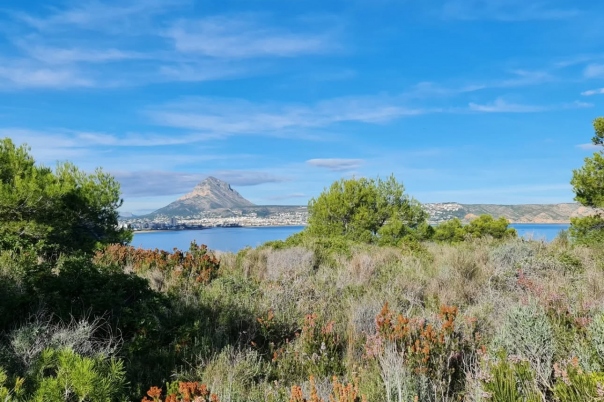Guide to Javea Walks: Cap Prim SL - CV 98