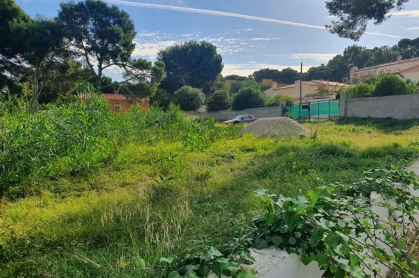 plot in Moraira