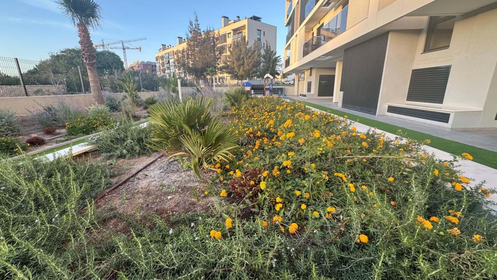 3 bed apartment in Alicante/Alacant