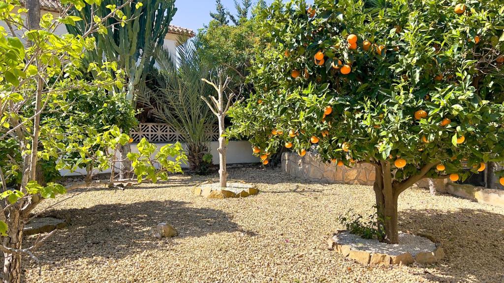 3 bed villa in Moraira