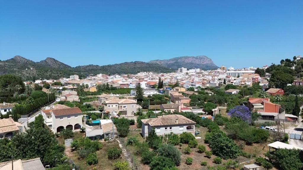 7 bed villa in Pedreguer
