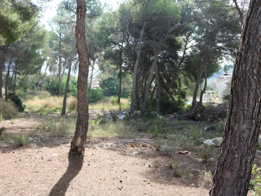 plot in Moraira