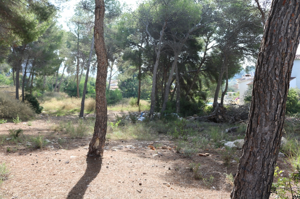 plot in Moraira