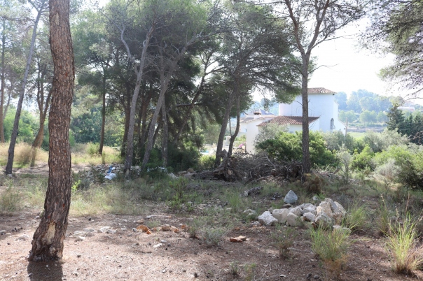 plot in Moraira