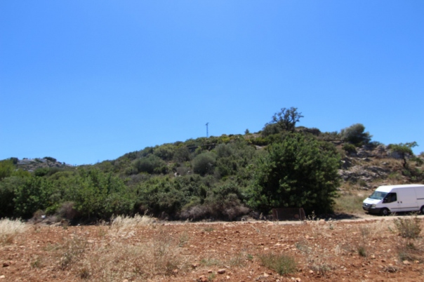 plot in Pego
