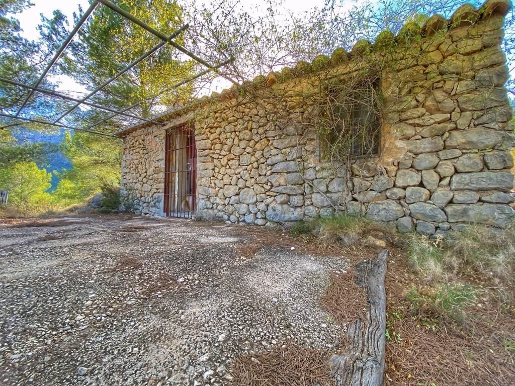 parcela in Jalón