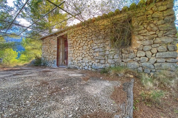 parcela in Jalón