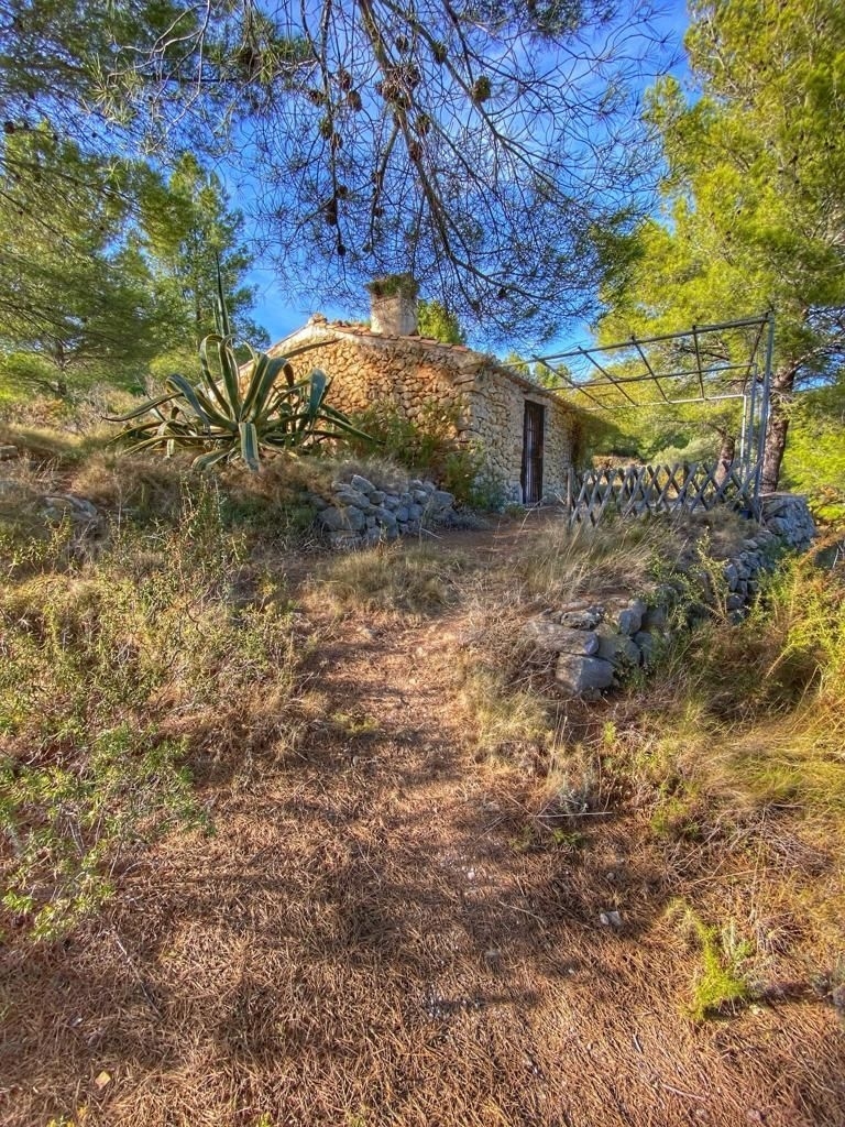parcela in Jalón