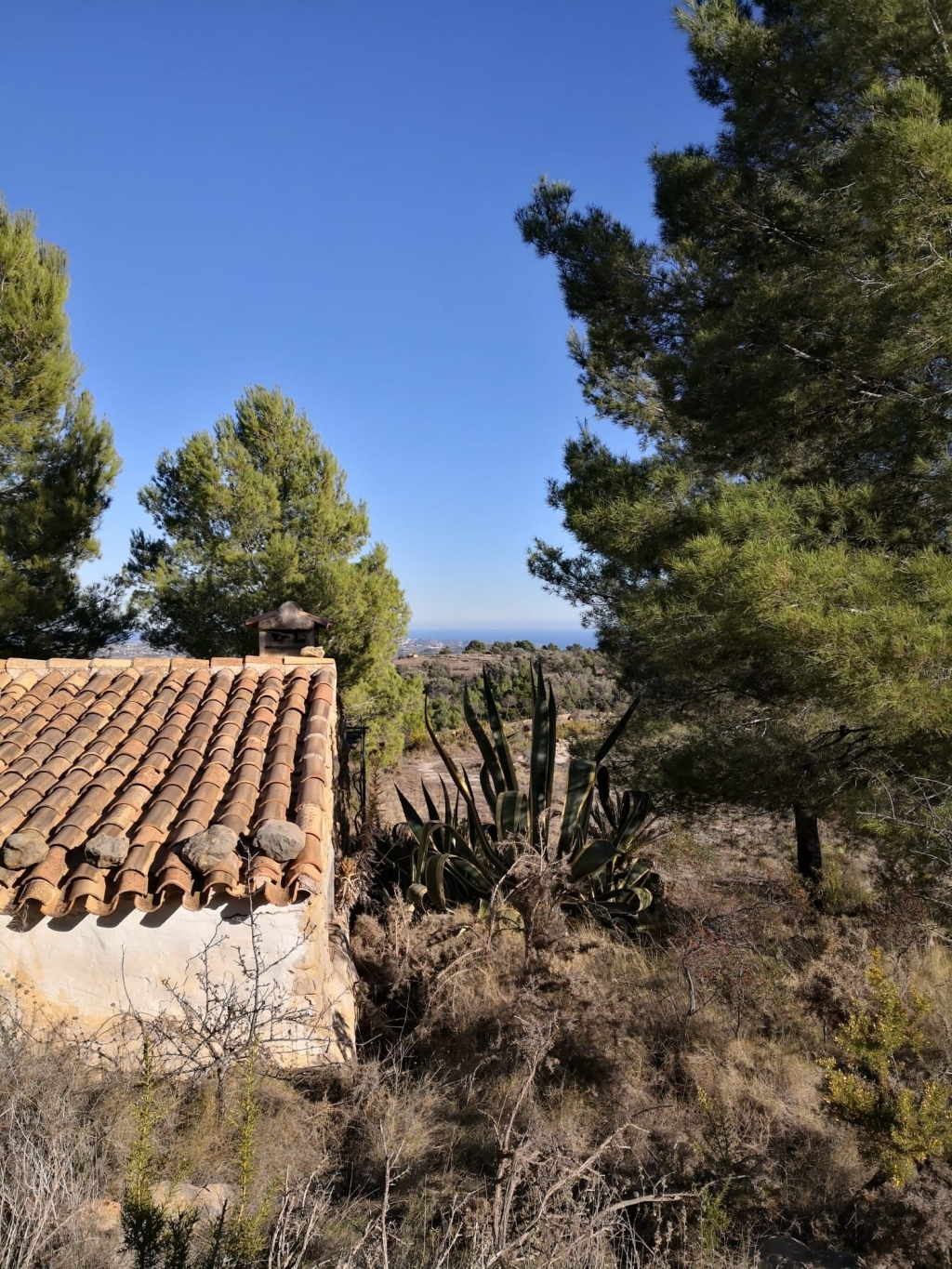 parcela in Jalón