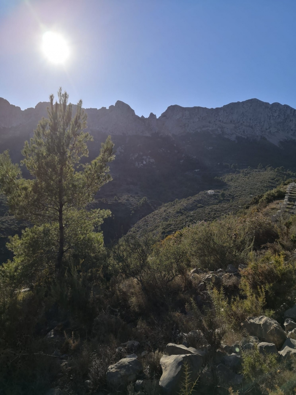 parcela in Jalón