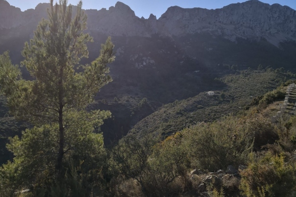 parcela in Jalón