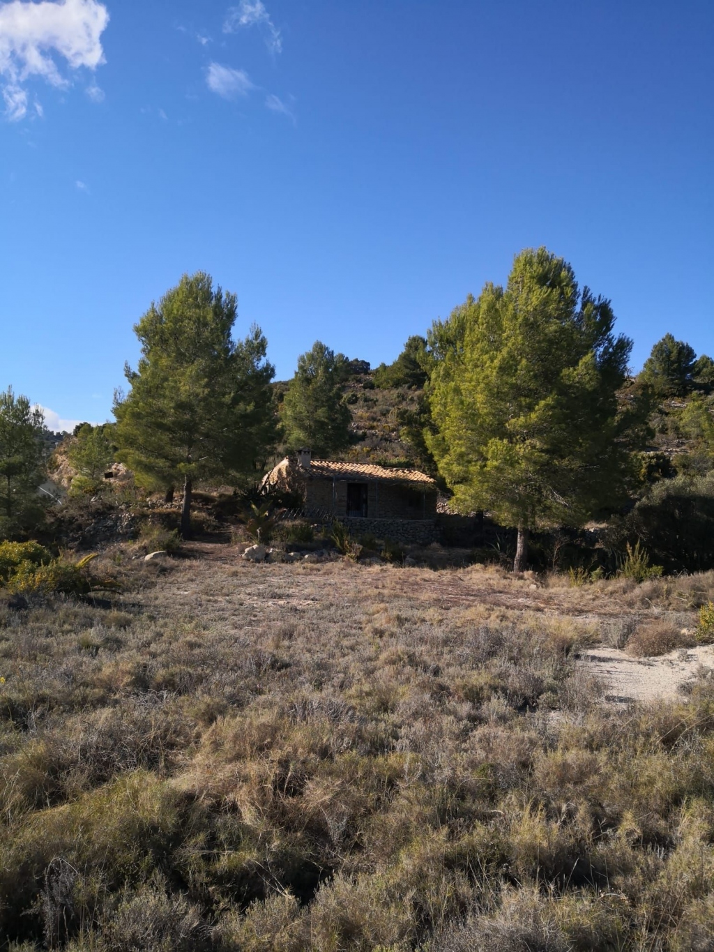 parcela in Jalón