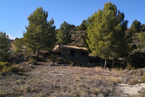 parcela in Jalón