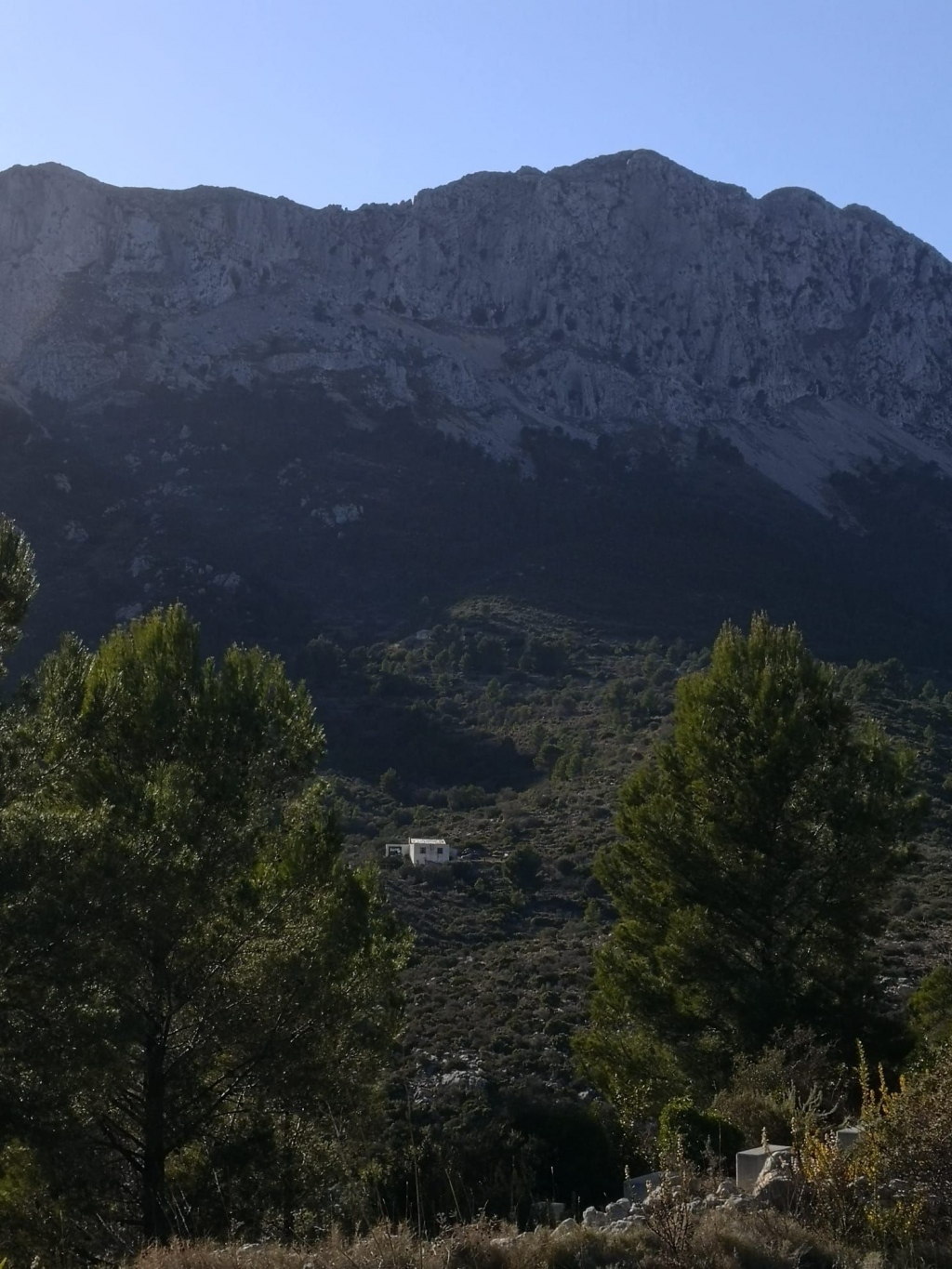 parcela in Jalón