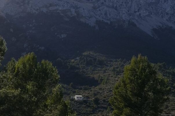 parcela in Jalón