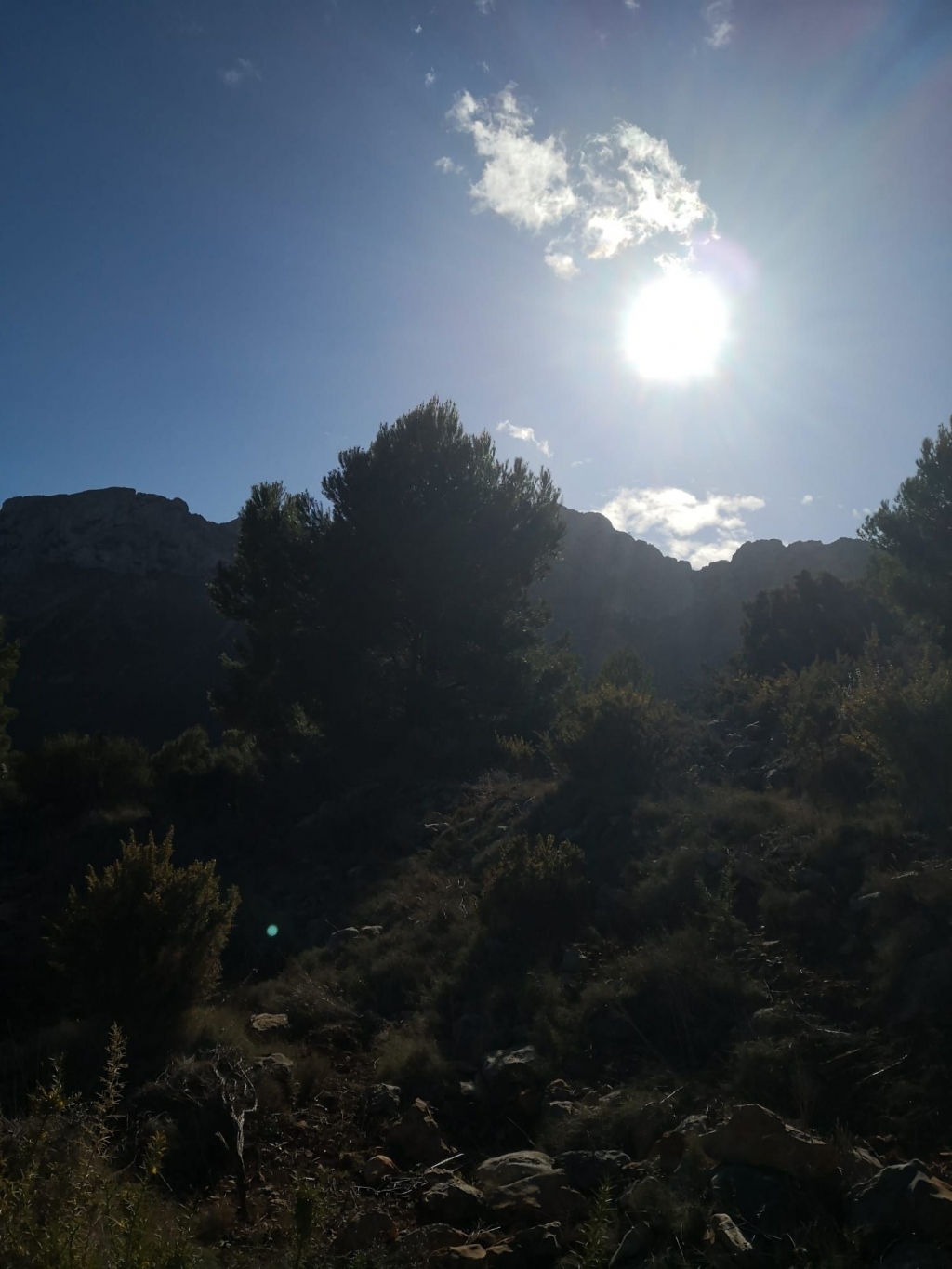 parcela in Jalón