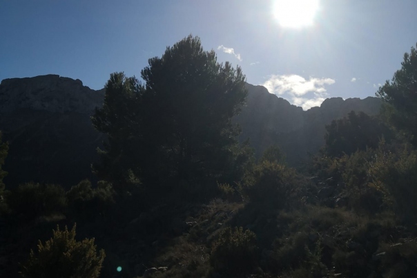 parcela in Jalón