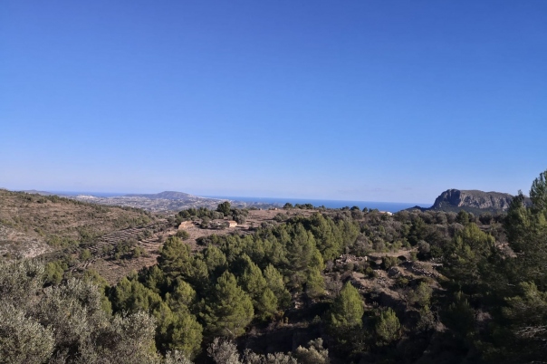 parcela in Jalón