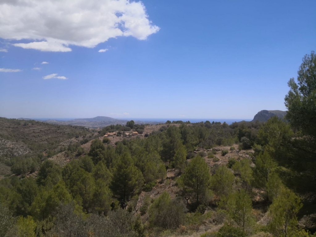 parcela in Jalón