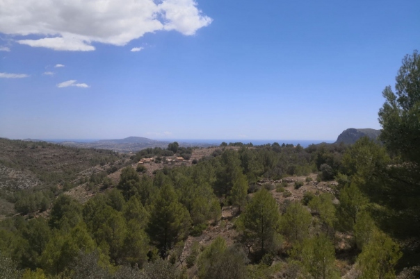 parcela in Jalón