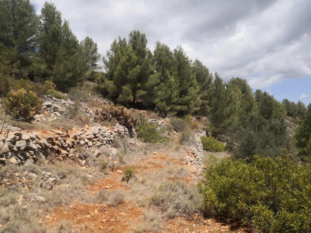 parcela in Jalón