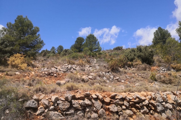 parcela in Jalón