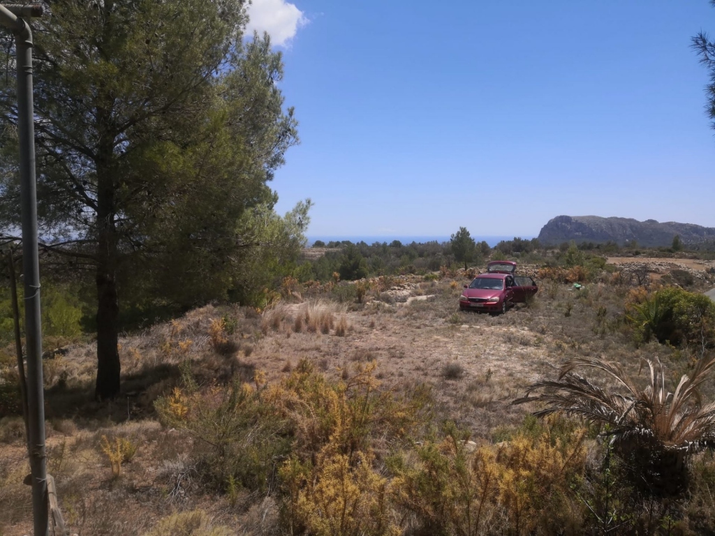 parcela in Jalón