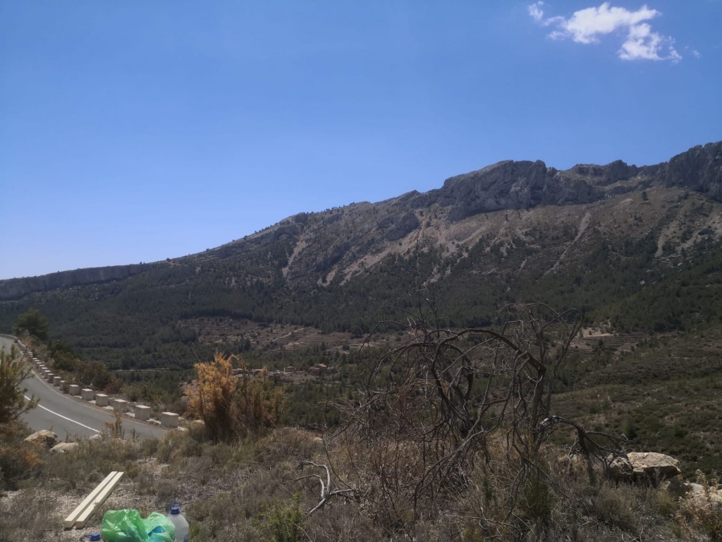parcela in Jalón
