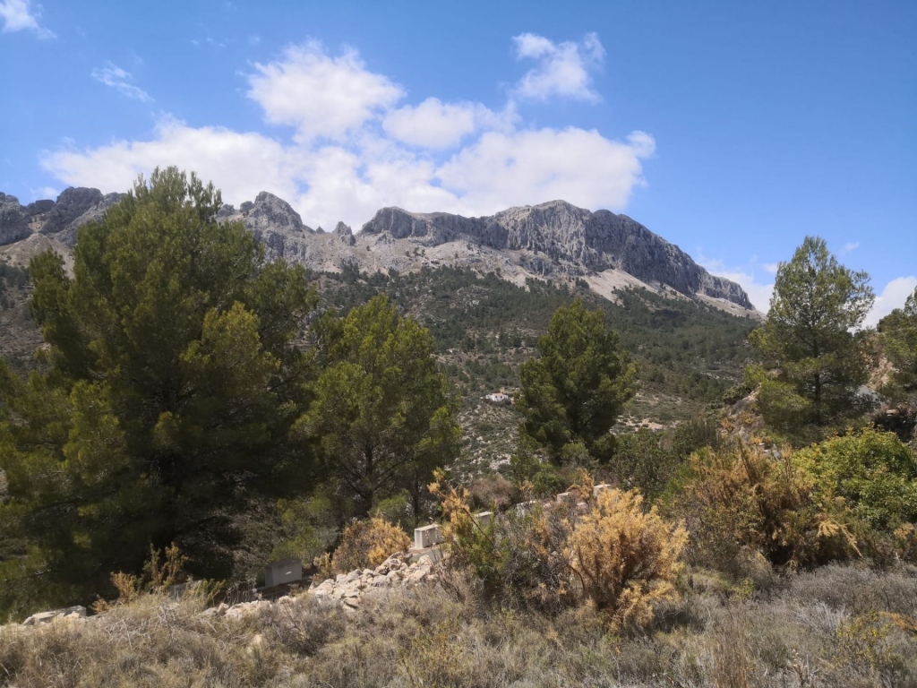 parcela in Jalón