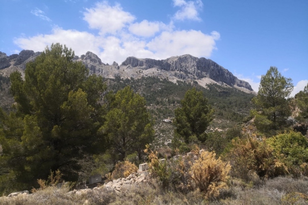 parcela in Jalón