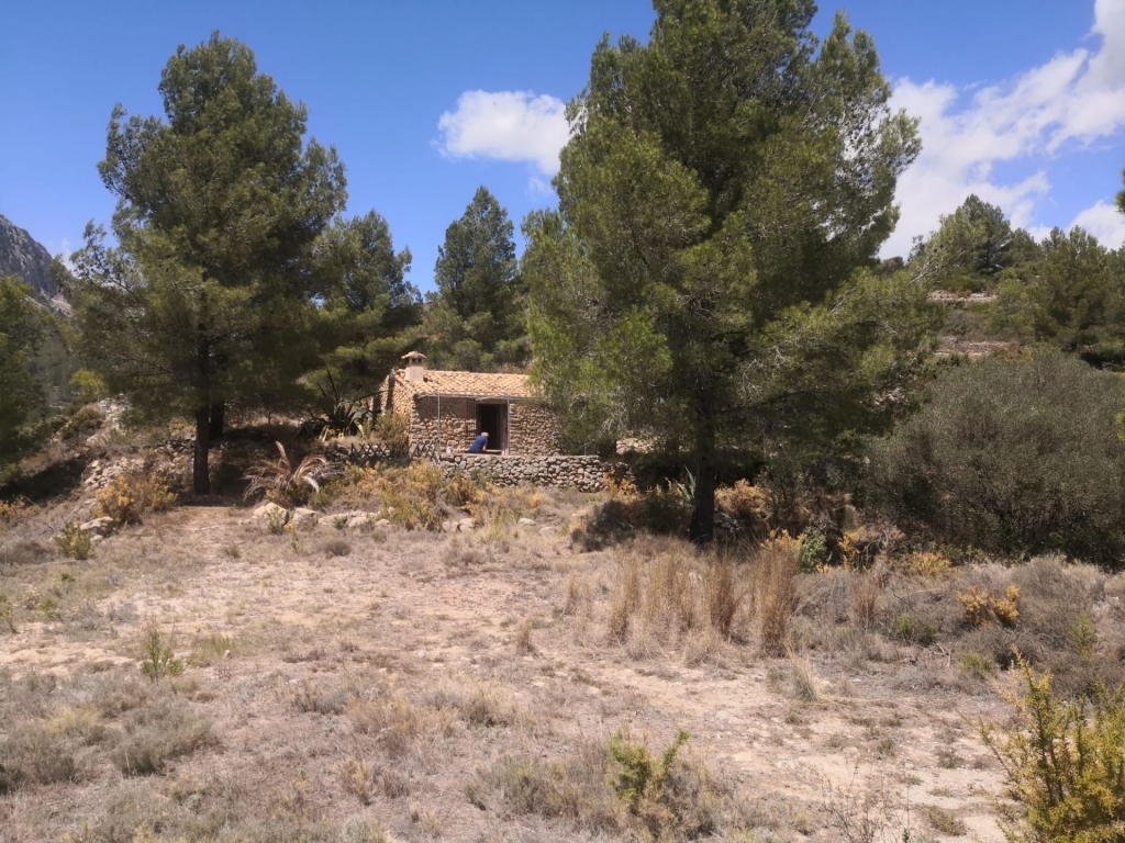 parcela in Jalón