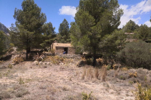 parcela in Jalón