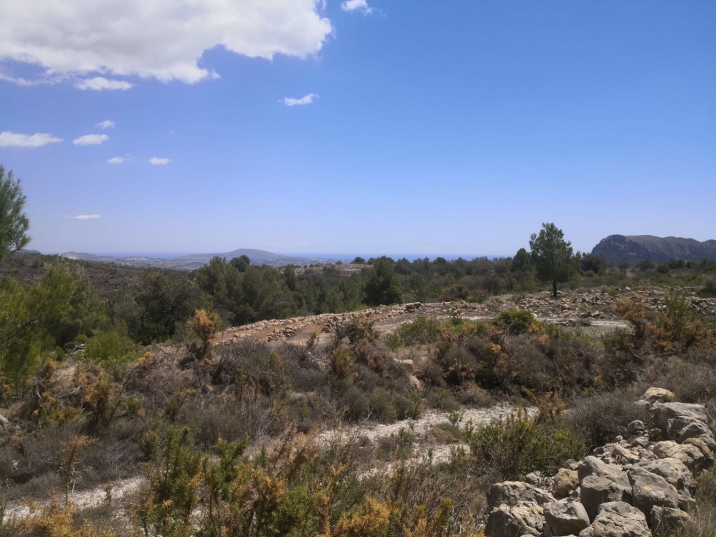 parcela in Jalón