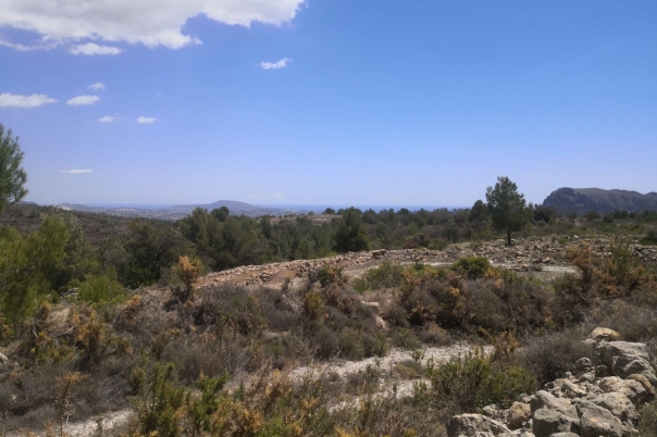 parcela in Jalón