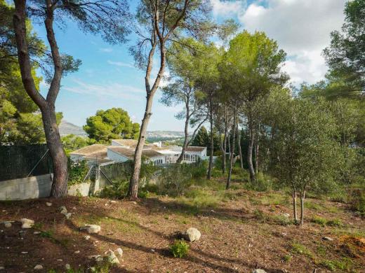 plot in Jávea