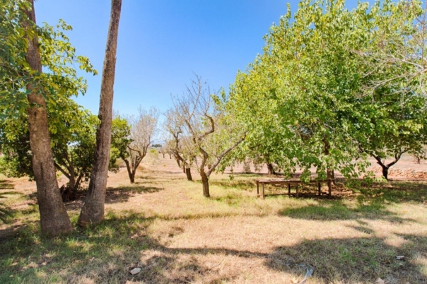 3 bed finca in Senija