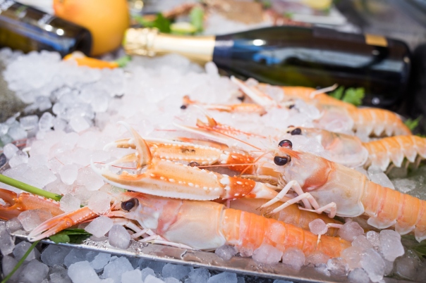 The Best Seafood Restaurants in Calpe Port