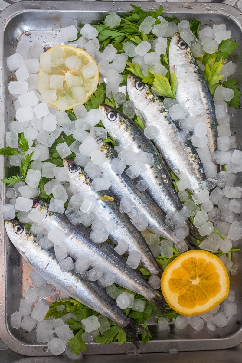 The Best Seafood Restaurants in Calpe Port