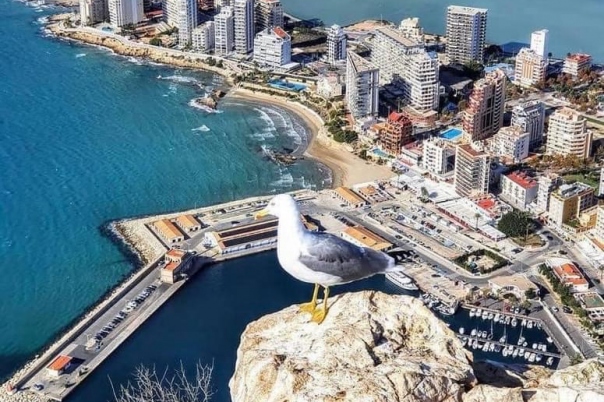 Guide to Walking To the Top of Peñon de Ifach