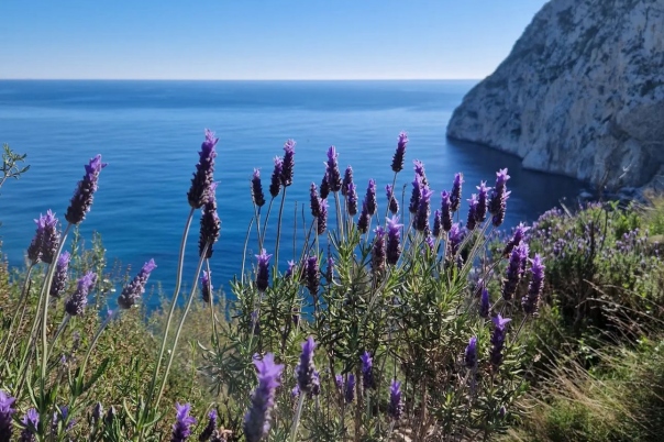 Guide to Walking To the Top of Peñon de Ifach