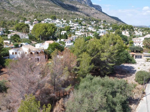 plot in Denia