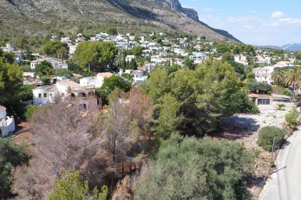 plot in Denia