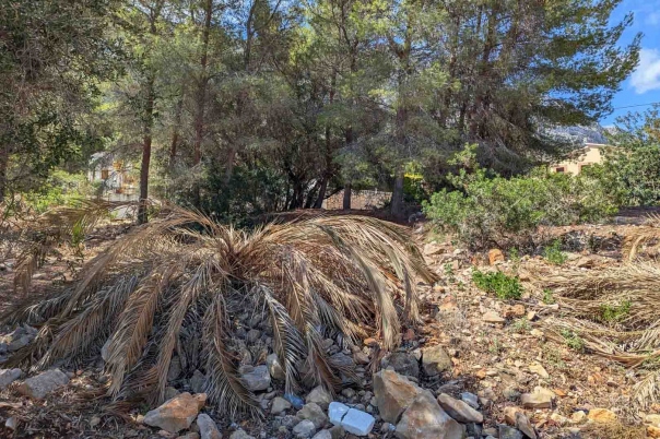 plot in Denia