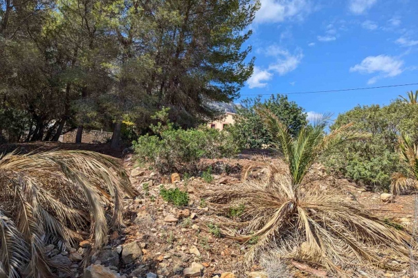 plot in Denia