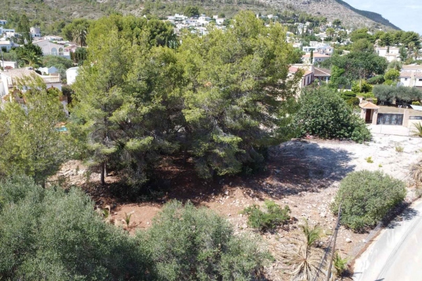 plot in Denia