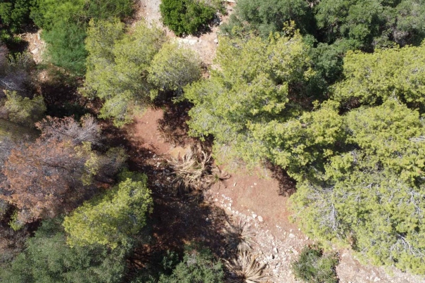 plot in Denia