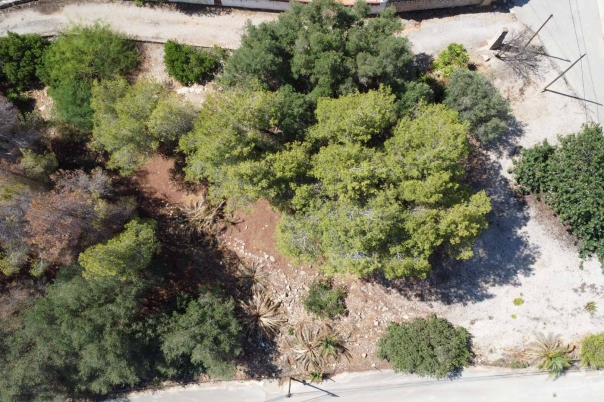 plot in Denia